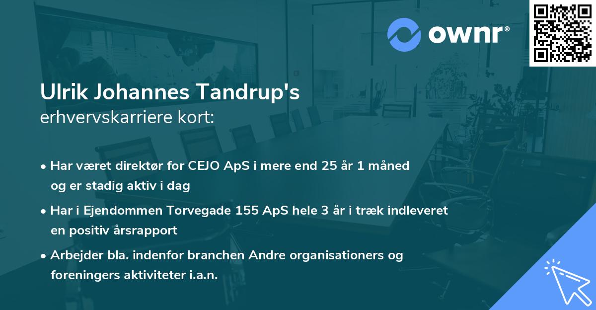 Ulrik Johannes Tandrup's erhvervskarriere kort