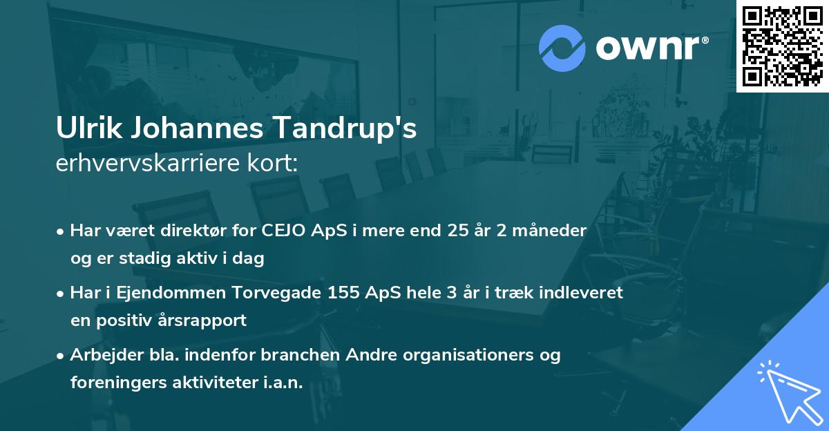 Ulrik Johannes Tandrup's erhvervskarriere kort