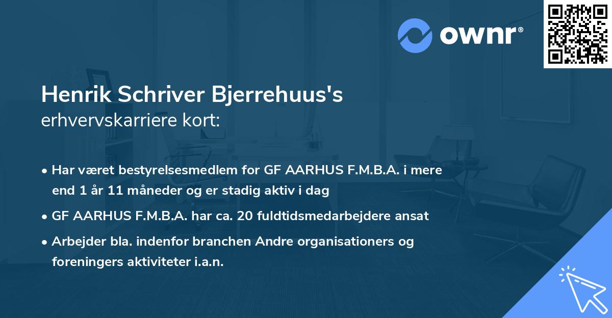 Henrik Schriver Bjerrehuus's erhvervskarriere kort