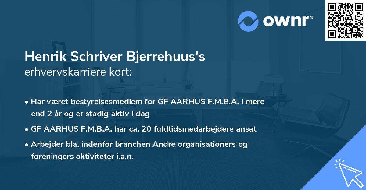 Henrik Schriver Bjerrehuus's erhvervskarriere kort