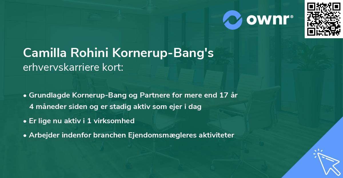 Camilla Rohini Kornerup-Bang's erhvervskarriere kort