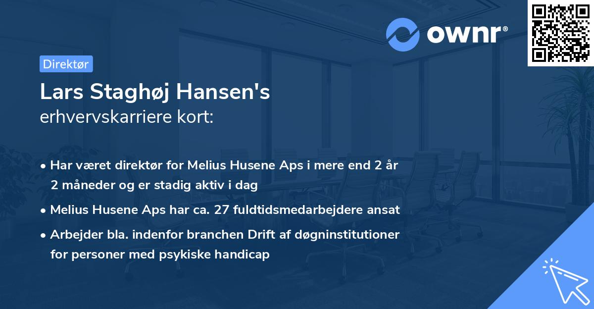 Lars Staghøj Hansen's erhvervskarriere kort