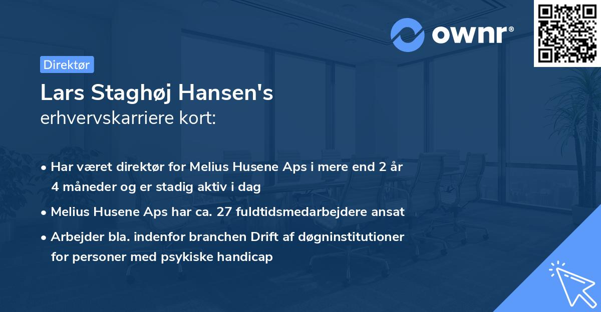 Lars Staghøj Hansen's erhvervskarriere kort