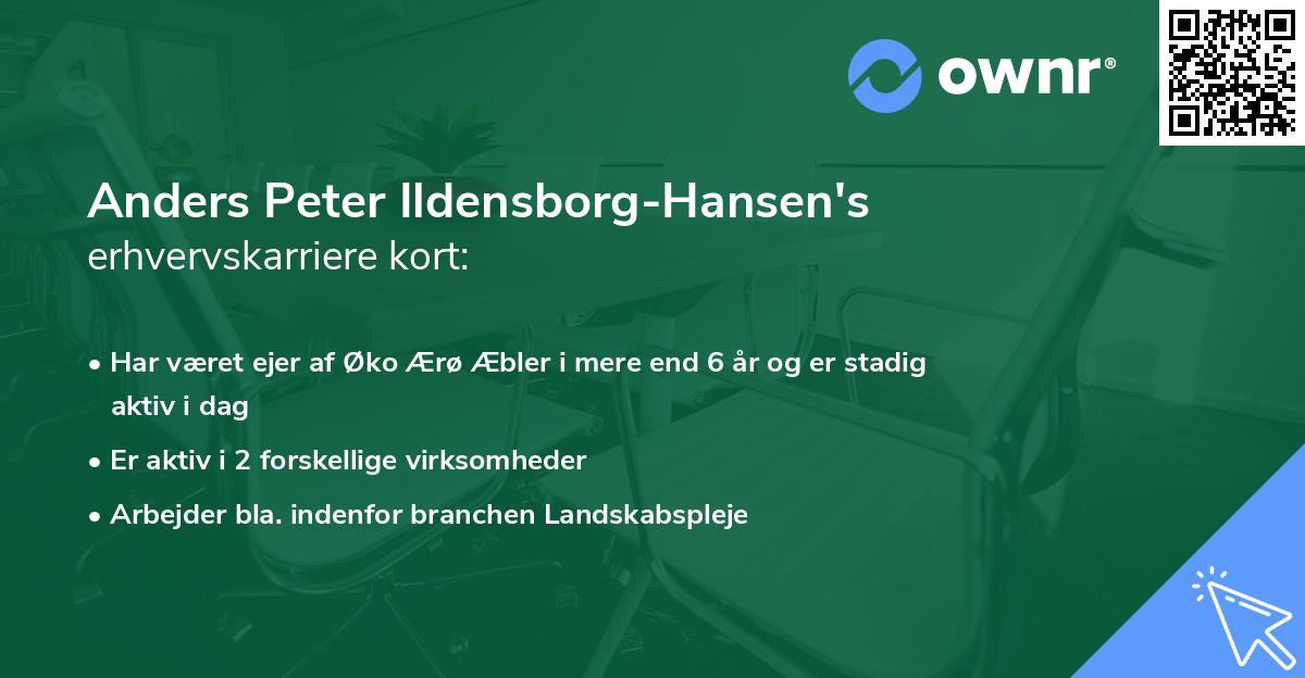 Anders Peter Ildensborg-Hansen's erhvervskarriere kort