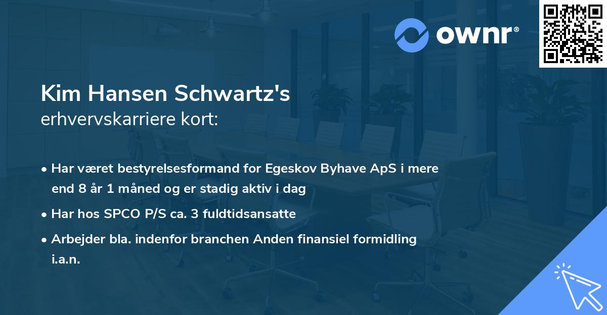 Kim Hansen Schwartz's erhvervskarriere kort