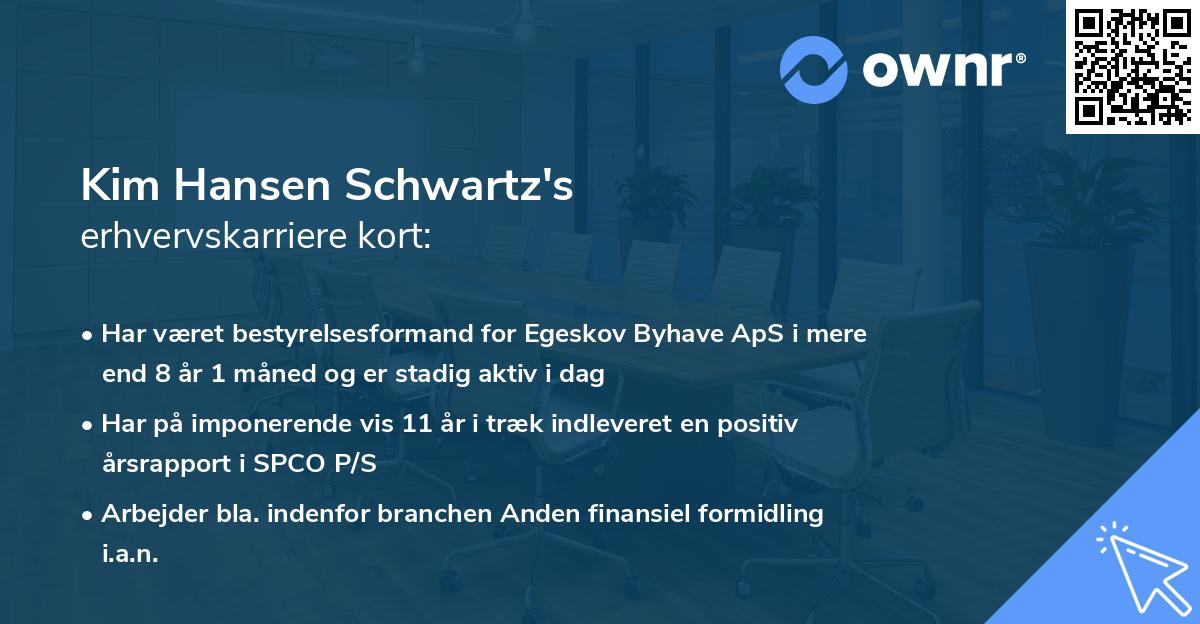 Kim Hansen Schwartz's erhvervskarriere kort