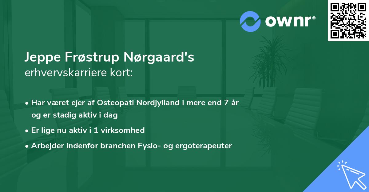 Jeppe Frøstrup Nørgaard's erhvervskarriere kort