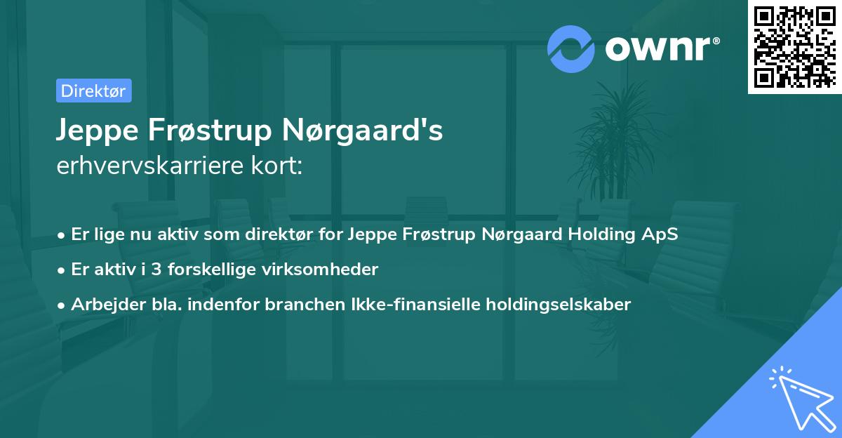 Jeppe Frøstrup Nørgaard's erhvervskarriere kort