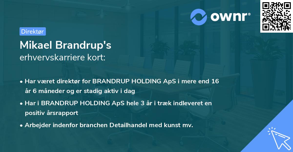 Mikael Brandrup's erhvervskarriere kort