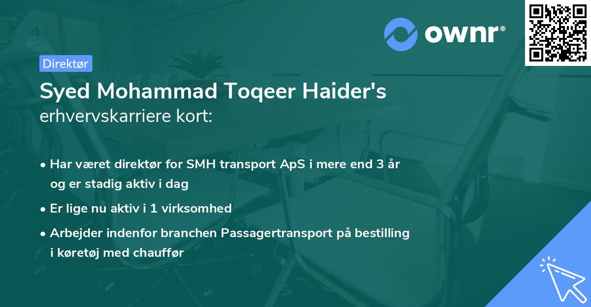 Syed Mohammad Toqeer Haider's erhvervskarriere kort