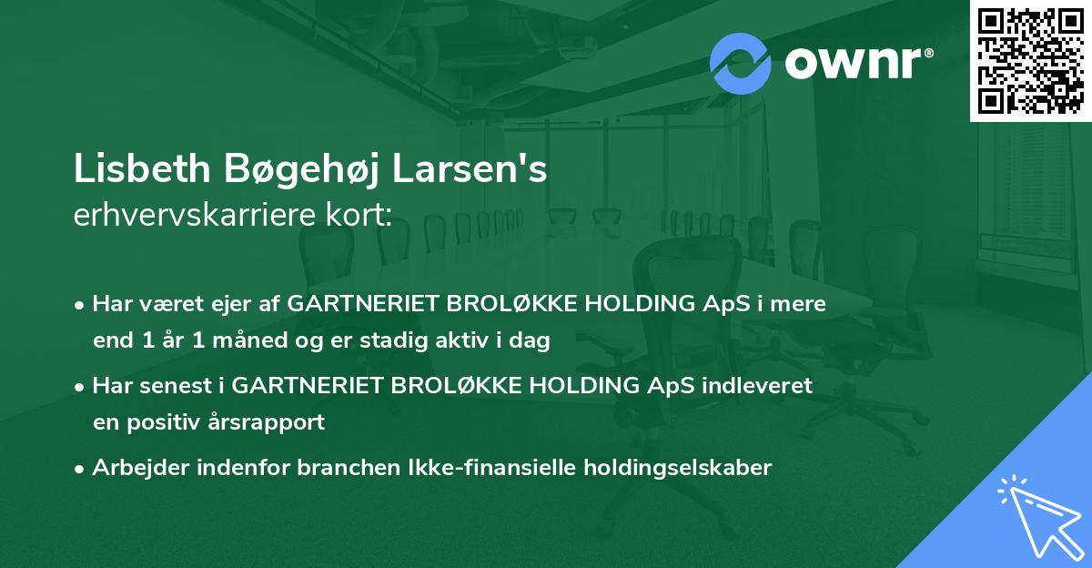 Lisbeth Bøgehøj Larsen's erhvervskarriere kort