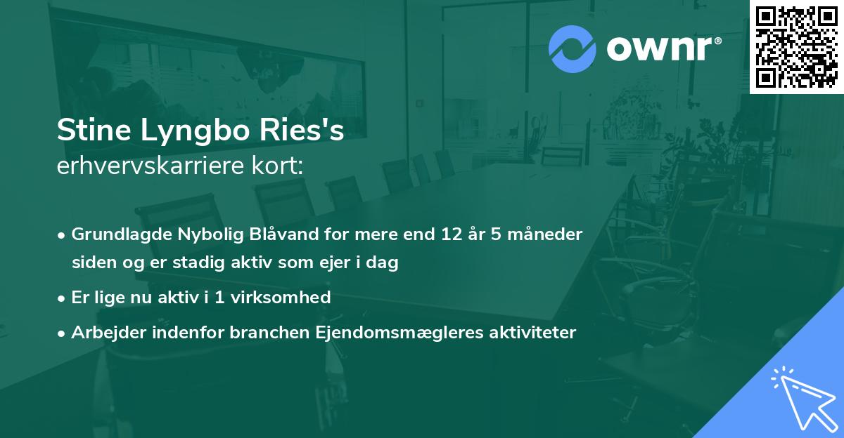 Stine Lyngbo Ries's erhvervskarriere kort