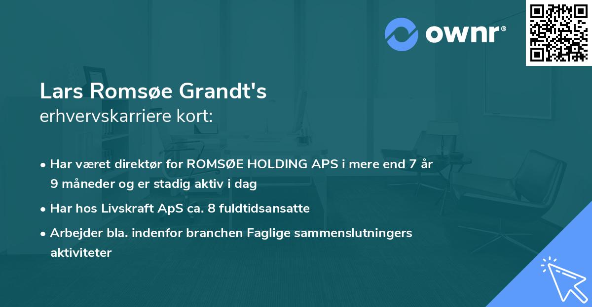 Lars Romsøe Grandt's erhvervskarriere kort