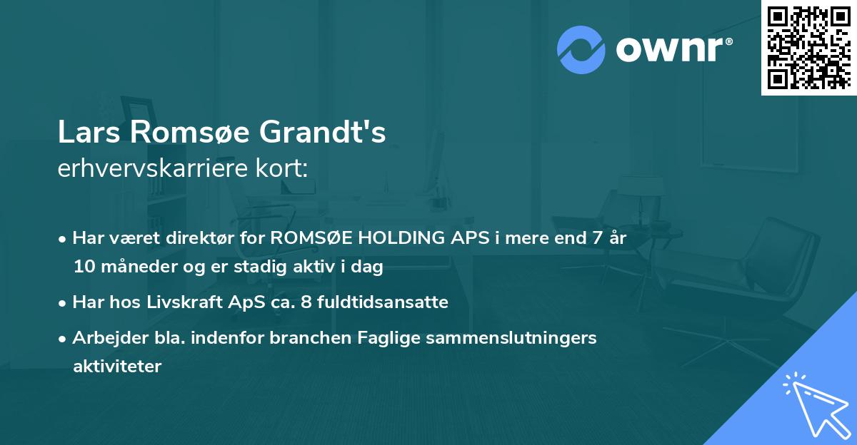 Lars Romsøe Grandt's erhvervskarriere kort