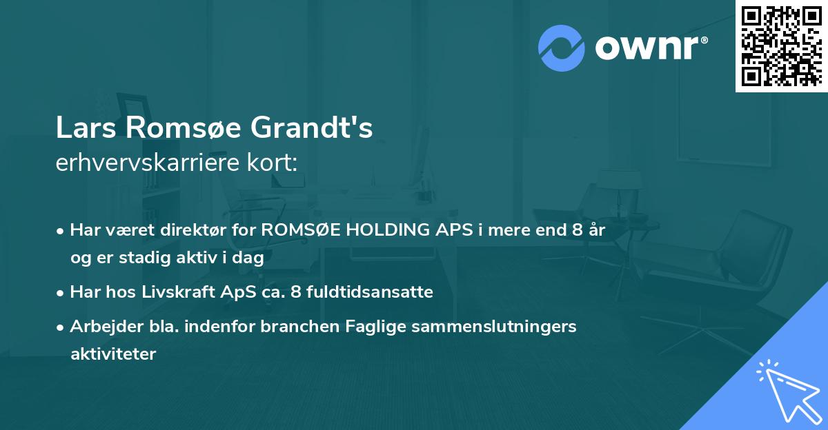 Lars Romsøe Grandt's erhvervskarriere kort