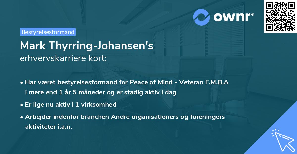 Mark Thyrring-Johansen's erhvervskarriere kort