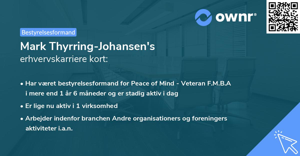 Mark Thyrring-Johansen's erhvervskarriere kort