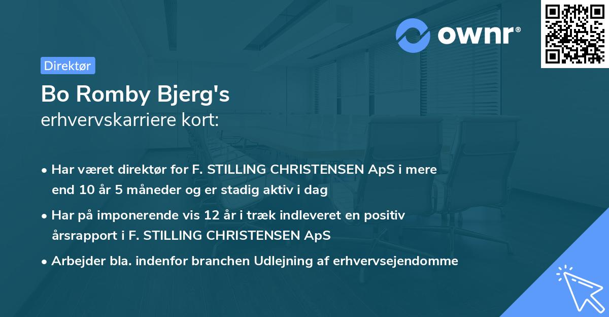 Bo Romby Bjerg's erhvervskarriere kort