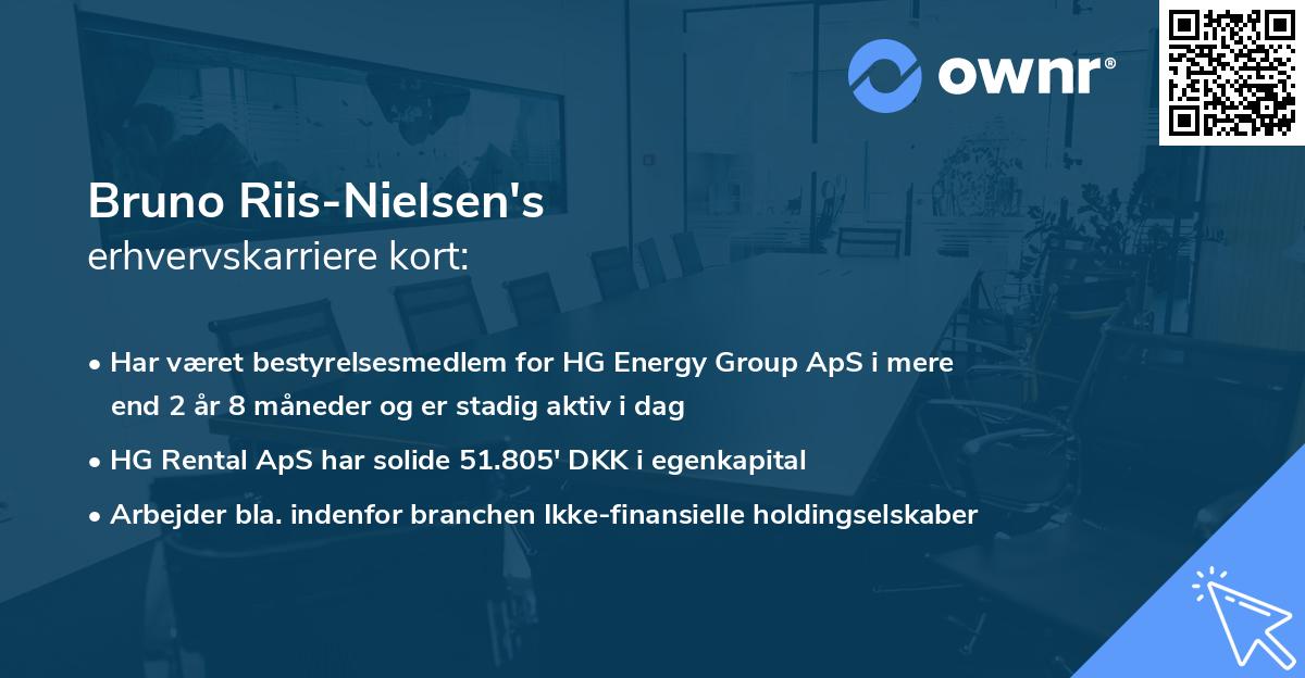 Bruno Riis-Nielsen's erhvervskarriere kort