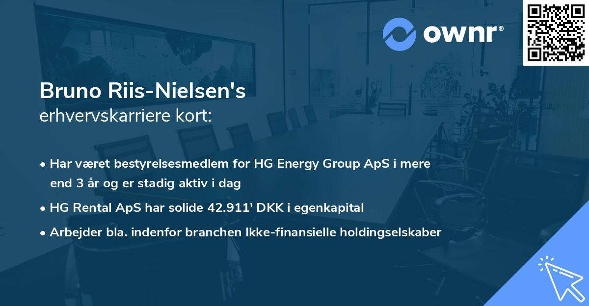 Bruno Riis-Nielsen's erhvervskarriere kort