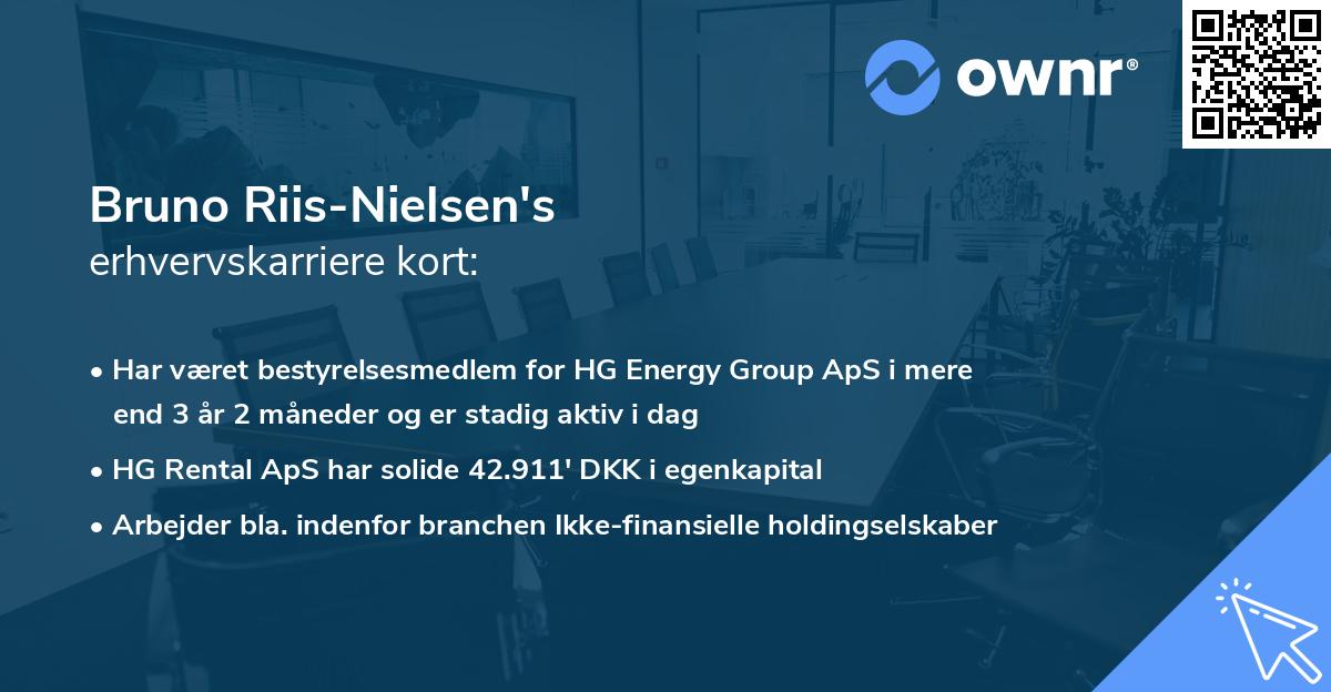 Bruno Riis-Nielsen's erhvervskarriere kort