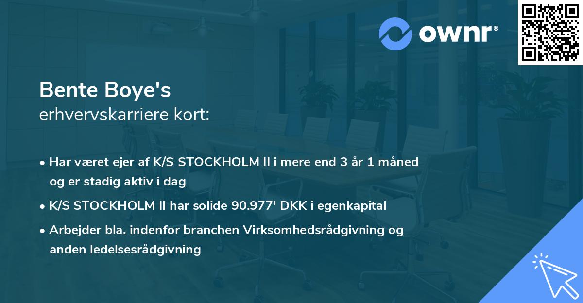 Bente Boye's erhvervskarriere kort