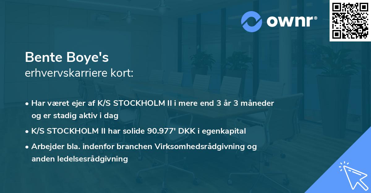 Bente Boye's erhvervskarriere kort