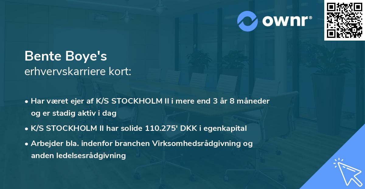 Bente Boye's erhvervskarriere kort
