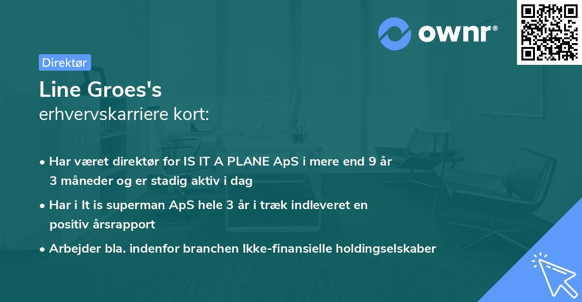 Line Groes's erhvervskarriere kort