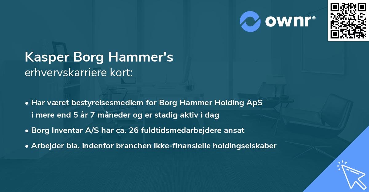 Kasper Borg Hammer's erhvervskarriere kort