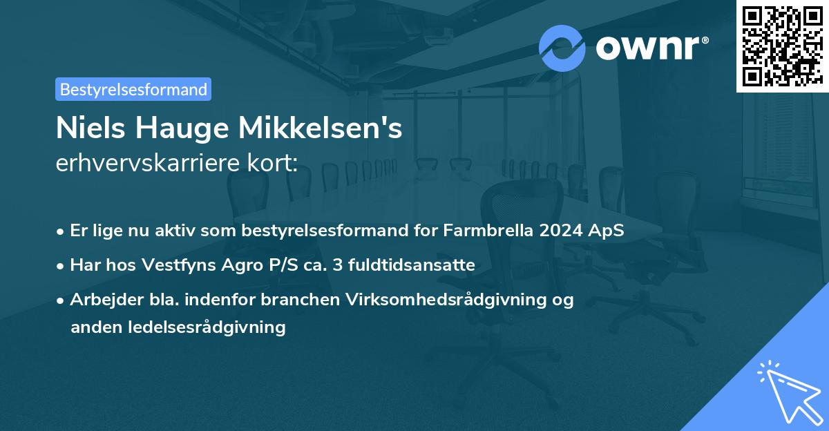 Niels Hauge Mikkelsen's erhvervskarriere kort