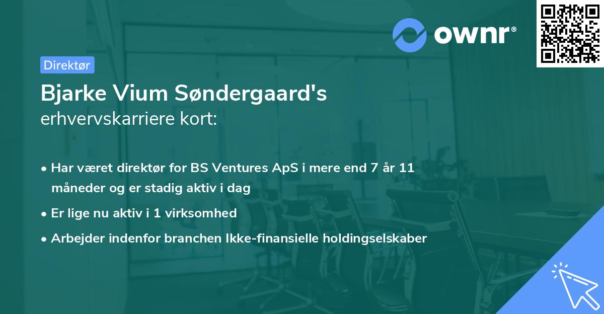 Bjarke Vium Søndergaard's erhvervskarriere kort