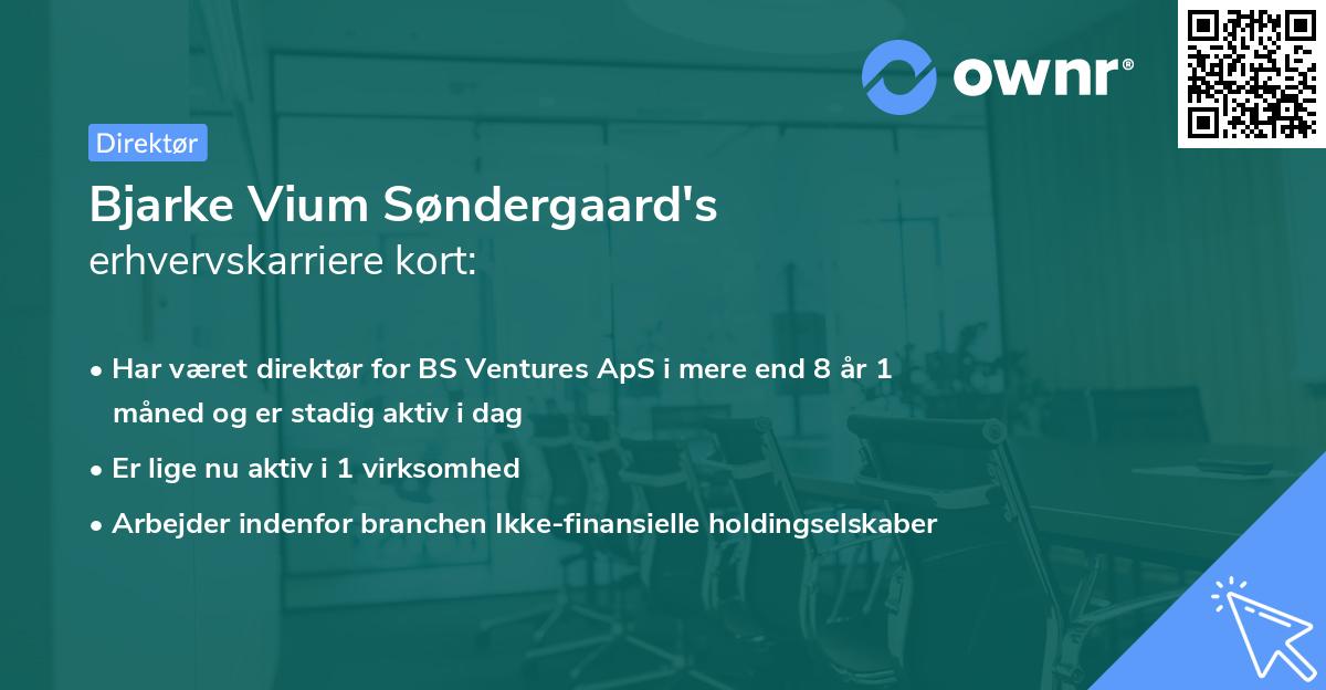 Bjarke Vium Søndergaard's erhvervskarriere kort