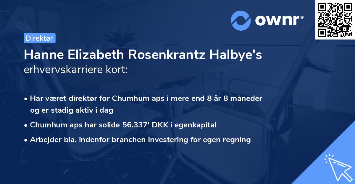 Hanne Elizabeth Rosenkrantz Halbye's erhvervskarriere kort