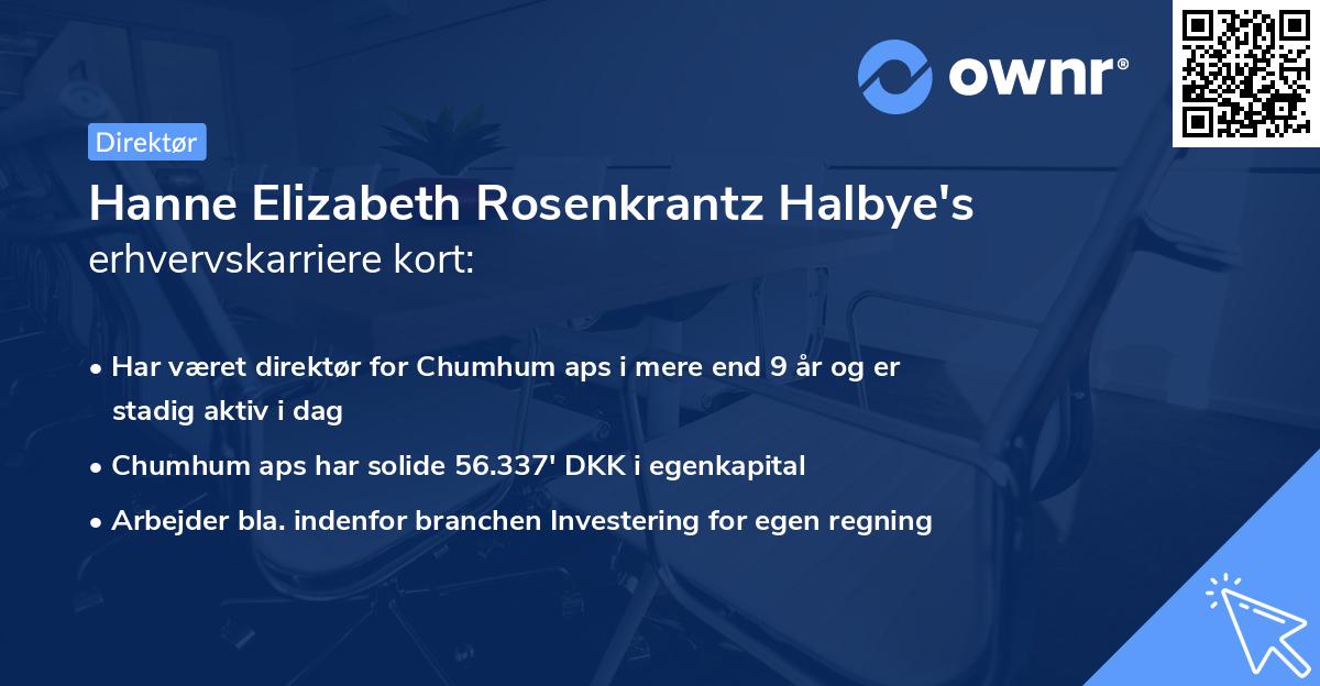 Hanne Elizabeth Rosenkrantz Halbye's erhvervskarriere kort