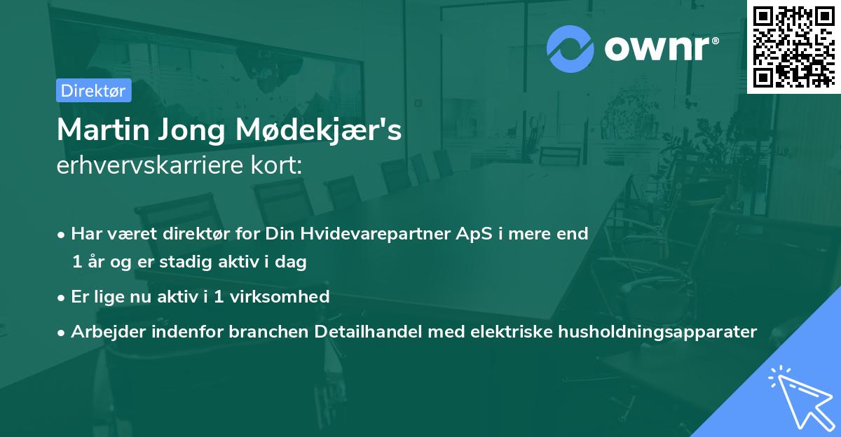 Martin Jong Mødekjær's erhvervskarriere kort