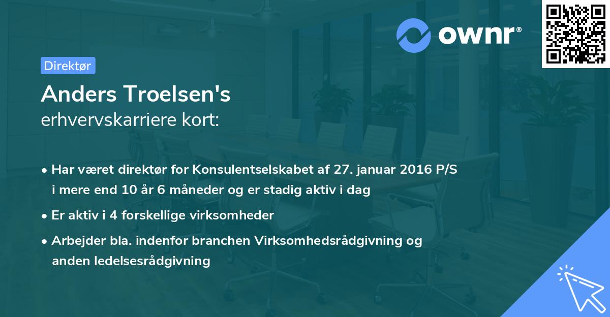 Anders Troelsen's erhvervskarriere kort