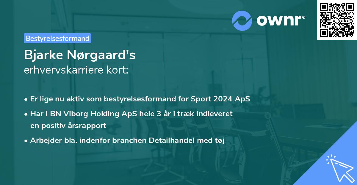 Bjarke Nørgaard's erhvervskarriere kort