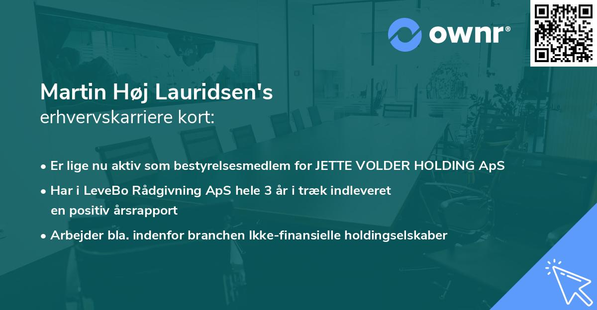Martin Høj Lauridsen's erhvervskarriere kort
