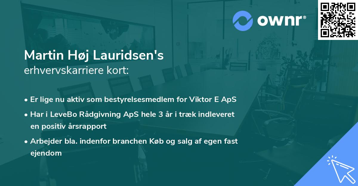 Martin Høj Lauridsen's erhvervskarriere kort
