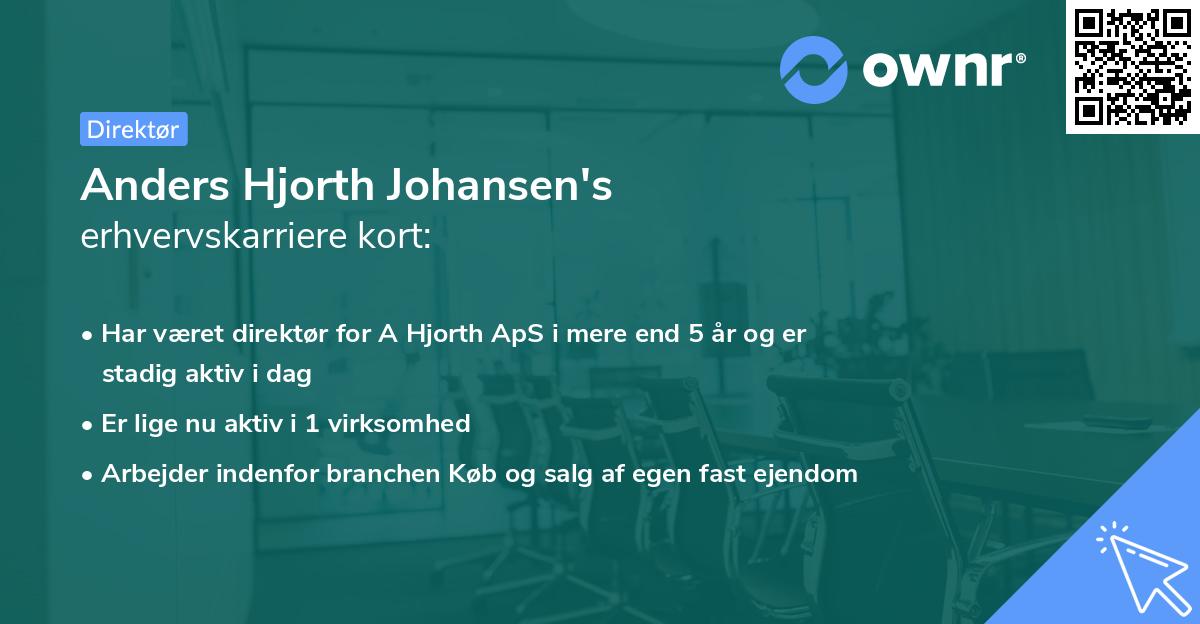 Anders Hjorth Johansen's erhvervskarriere kort