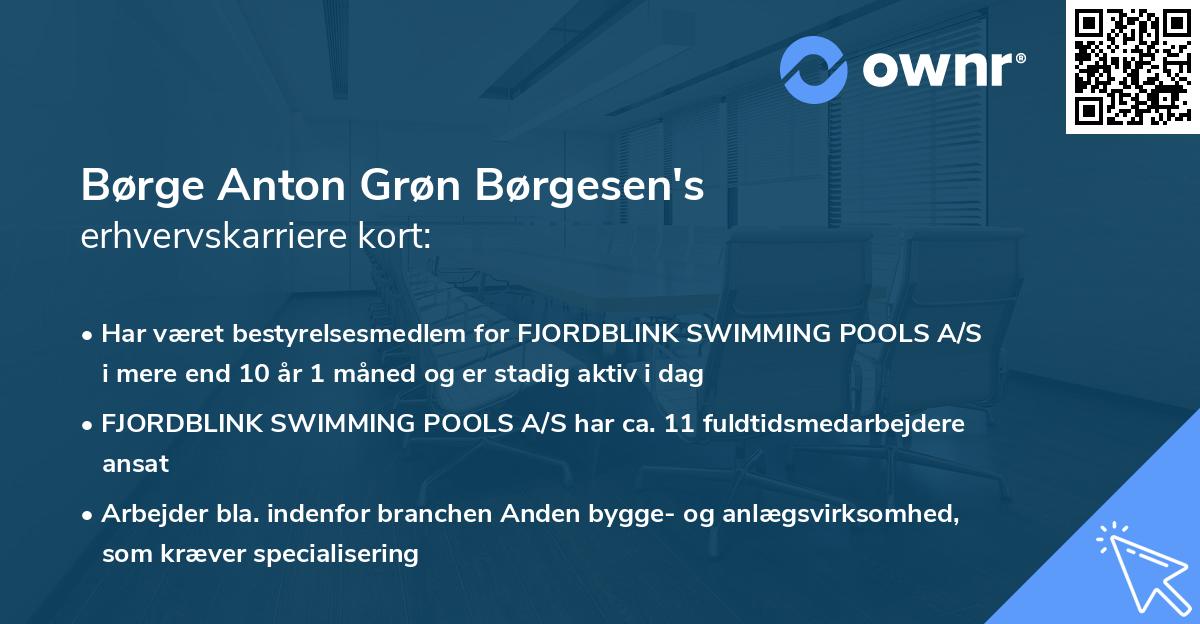 Børge Anton Grøn Børgesen's erhvervskarriere kort