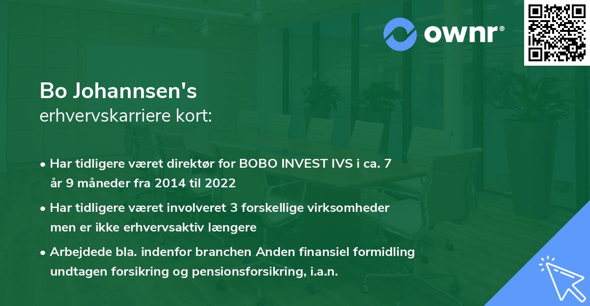 Bo Johannsen's erhvervskarriere kort