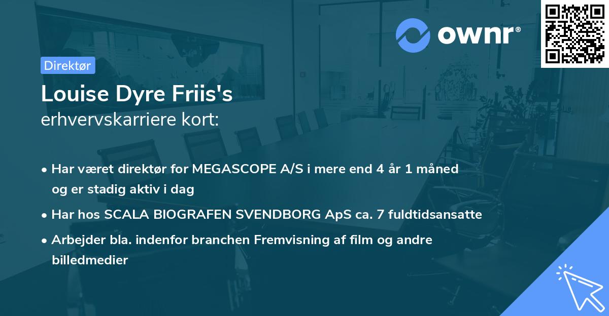 Louise Dyre Friis's erhvervskarriere kort