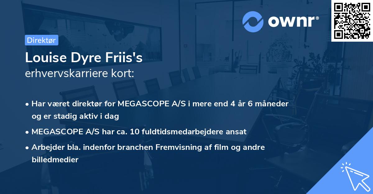 Louise Dyre Friis's erhvervskarriere kort
