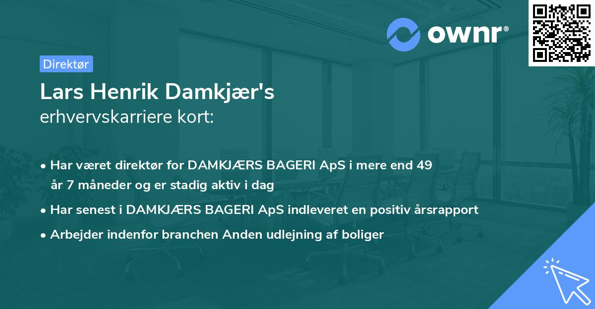 Lars Henrik Damkjær's erhvervskarriere kort
