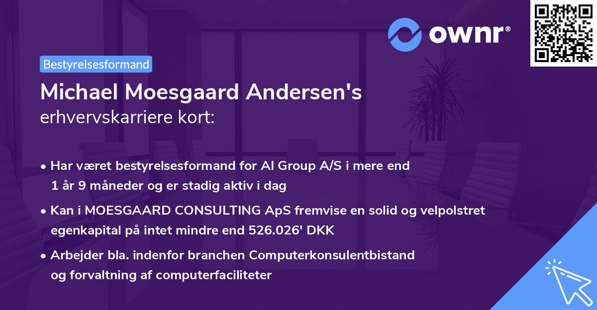 Michael Moesgaard Andersen's erhvervskarriere kort