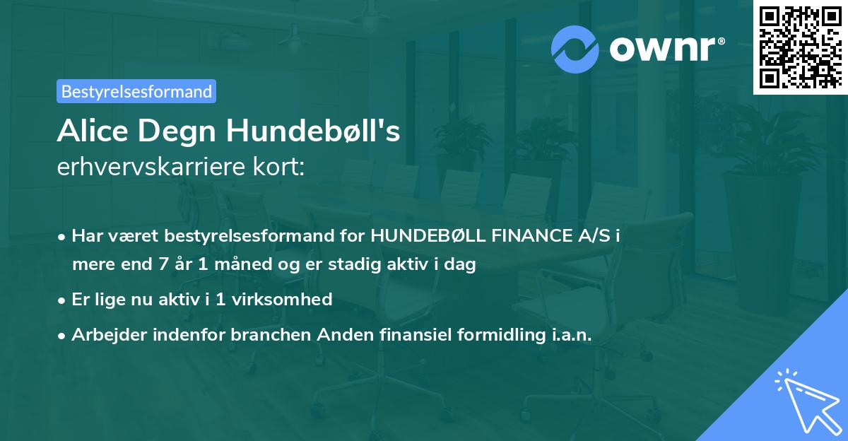 Alice Degn Hundebøll's erhvervskarriere kort