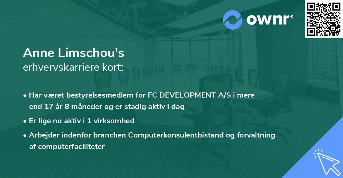Anne Limschou's erhvervskarriere kort