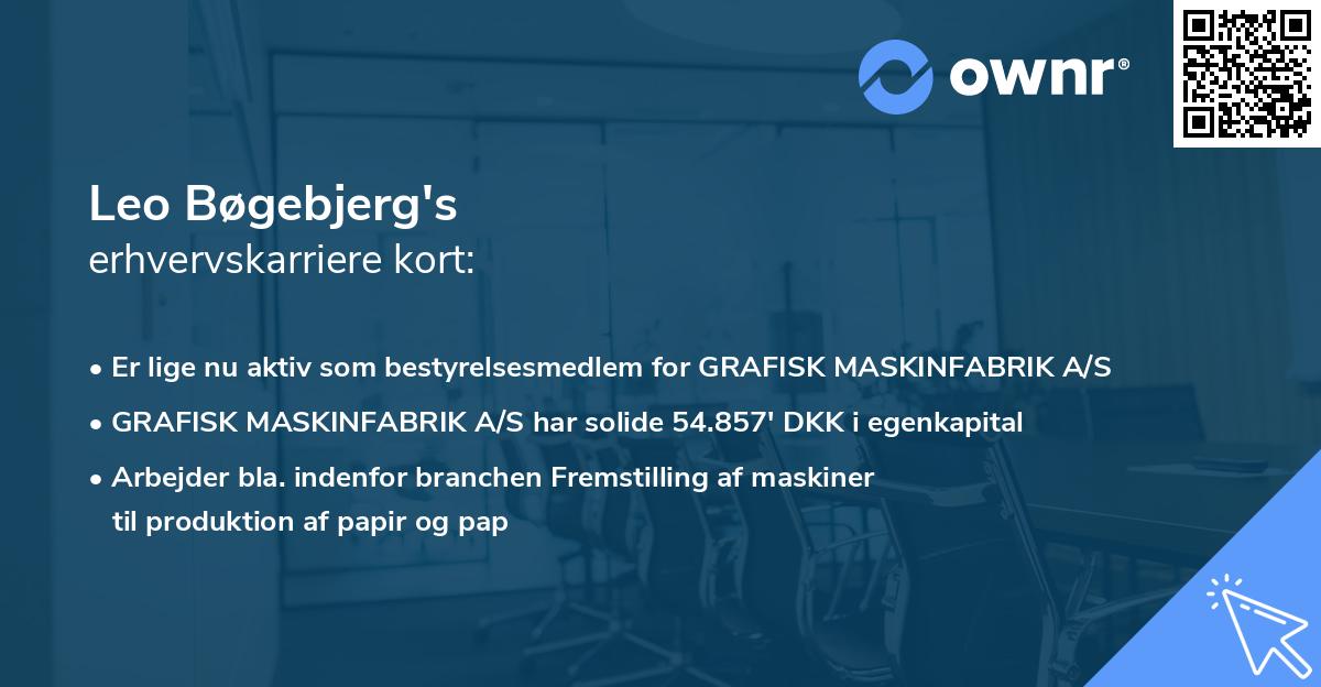 Leo Bøgebjerg's erhvervskarriere kort